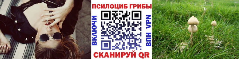 Псилоцибиновые грибы Cubensis  Железногорск-Илимский 